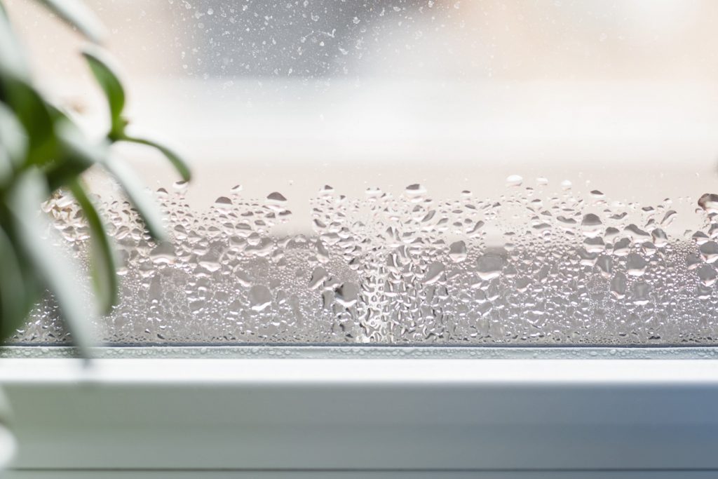 1. Attenzione all’umidità dell’aria in casa