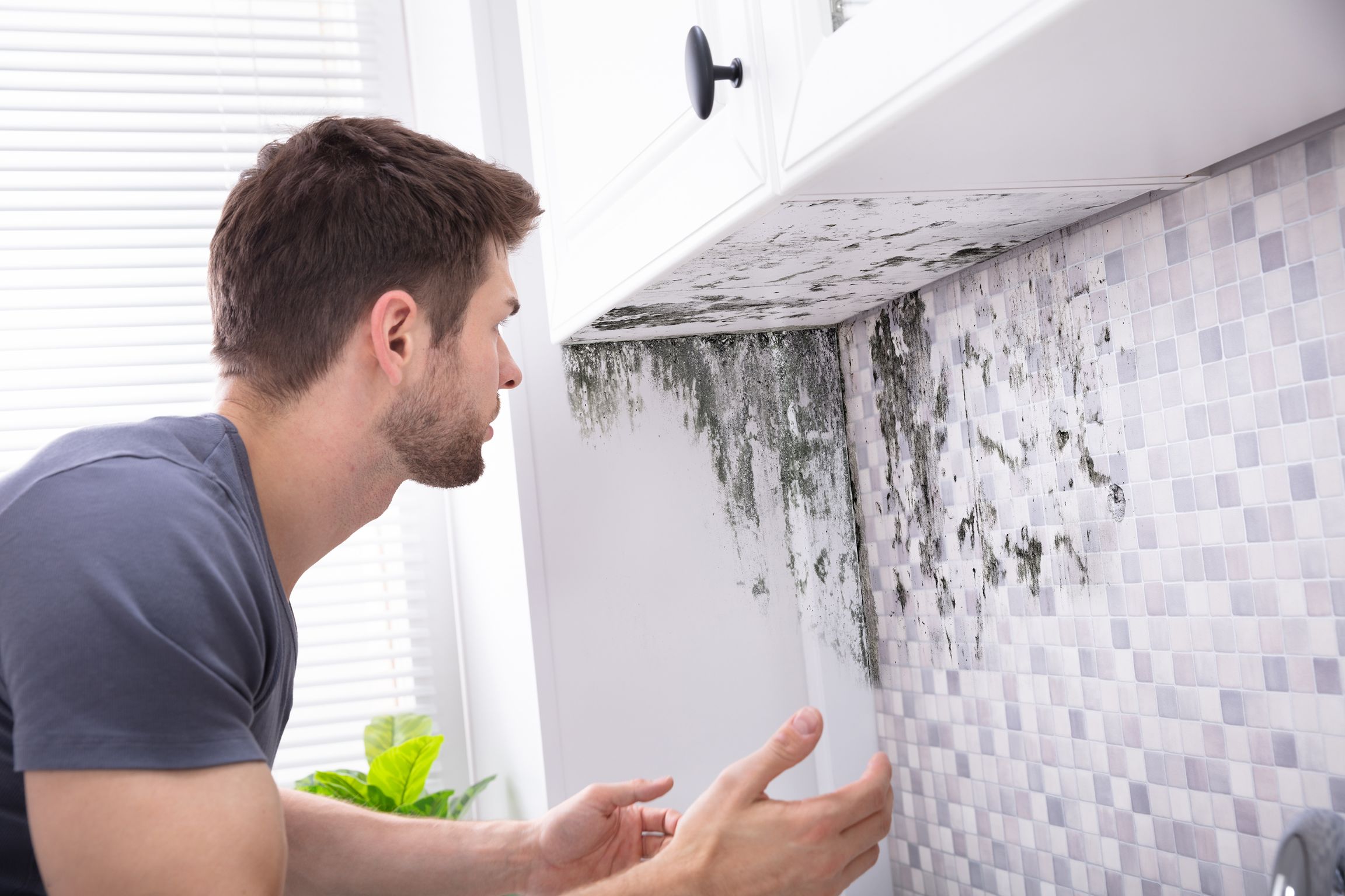 Mould in the house? Here's how to prevent it with a smart heating system